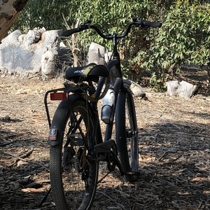 Electra Black