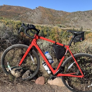 2019 Salsa Warbird Carbon Apex 1 700 56cm Red