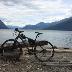 2016 Specialized Crosstrail Silver, gray or bare metal