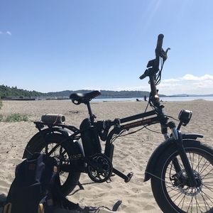 2020 Rad Power Bikes Mini4 Black