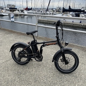 2020 Rad Power Bikes Mini4 Black
