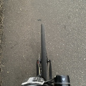 2021 Cannondale Blue