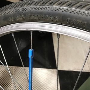 Schwinn Median Green