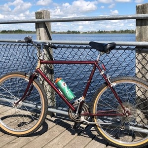 1984 Kuwahara Aries Brown and Yellow or Gold