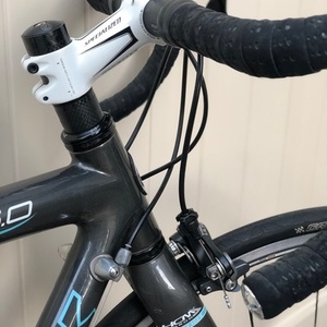 2007 Trek Madone 5.0 WSD Silver, gray or bare metal