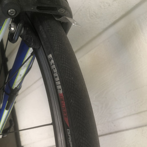 2015 Specialized Roubaix Green, Yellow or Gold, and Blue