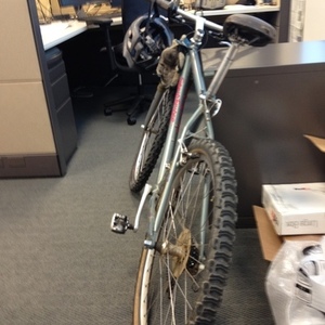 1994 Specialized Stumpjumper M2 FS Silver, gray or bare metal