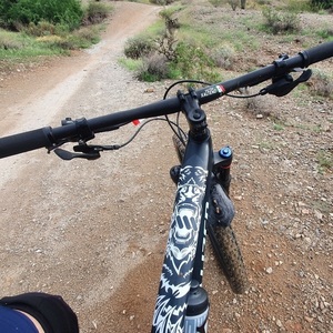 2021 Specialized Epic Evo Green