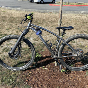2020 Why Cycles S7 Silver, gray or bare metal