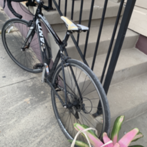 2019 Giant ATX Black and White