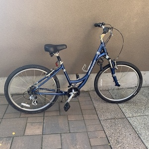 Specialized Expedition Sport Blue