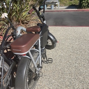 2021 Rad Power Bikes Rover Plus Silver, gray or bare metal