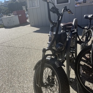 2021 Rad Power Bikes Rover Plus Silver, gray or bare metal