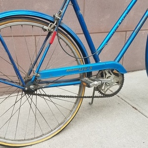 1974 Raleigh LTD Blue