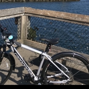 2019 Cannondale All terrain Silver, gray or bare metal