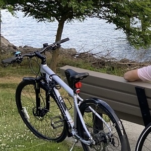 2019 Cannondale All terrain Silver, gray or bare metal