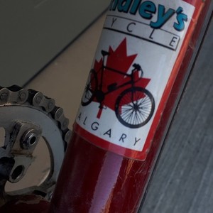 1993 Trek T200 tandem Red