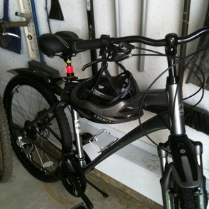 2012 Giant Sedona (Gray/Blue) Silver, gray or bare metal