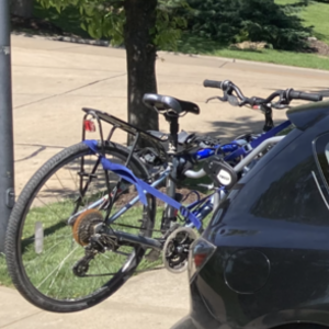2000 Specialized Expedition Silver, gray or bare metal