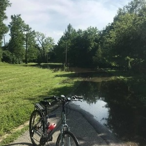 2000 Specialized Expedition Silver, gray or bare metal