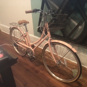 2021 Retrospec Beaumont Pink