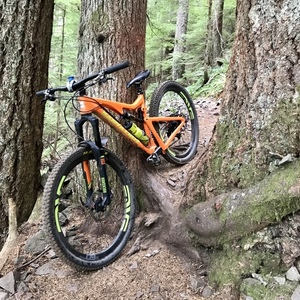 2015 Santa Cruz 5010 Orange