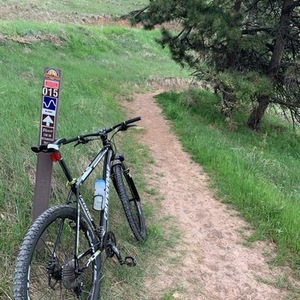 2014 Cannondale Trail Sl 29 2 Black