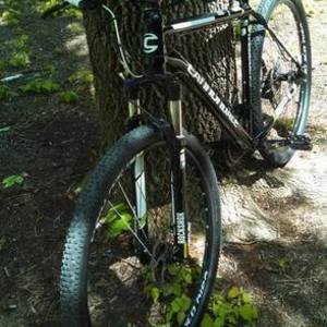 2014 Cannondale Trail Sl 29 2 Black