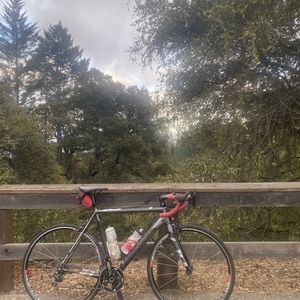 2013 Cannondale Caad10 5 105 Silver, gray or bare metal and Red