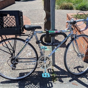Azuki Gran sport Silver, gray or bare metal