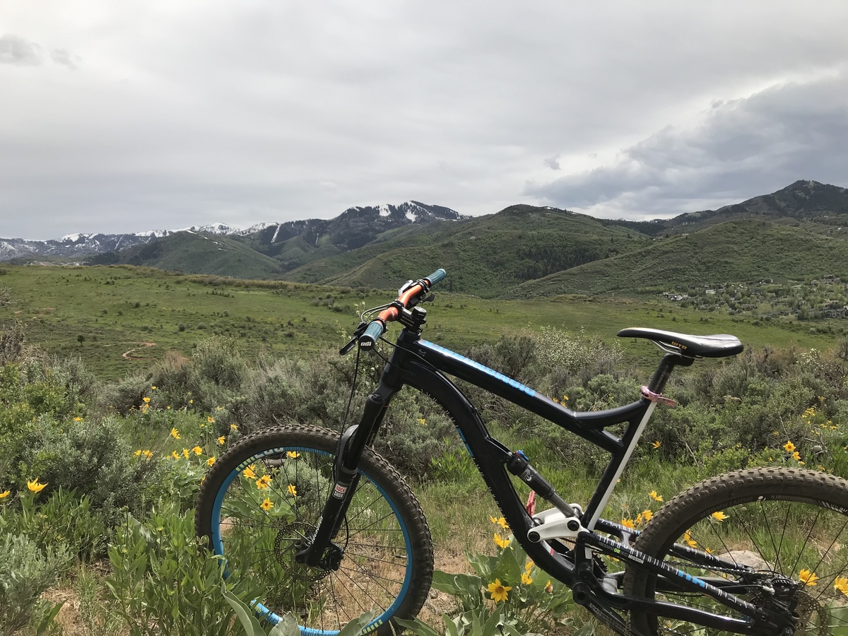 Bike photo