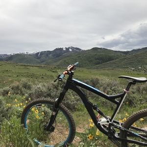 Diamondback Mission 1 Blue