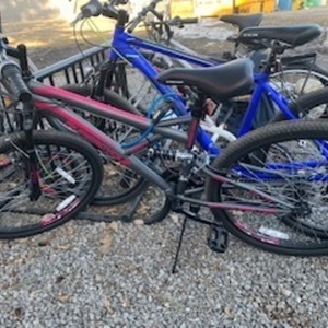 2021 Supercycle Outlook Silver, gray or bare metal and Pink