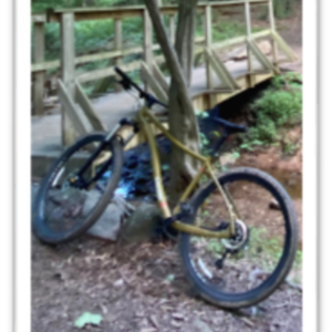 2020 Co-op aluminum - large - hardtail Brown and Green