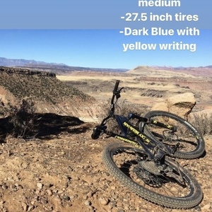 Rocky Mountain Bicycles Thunderbolt Blue