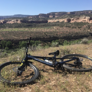 Rocky Mountain Bicycles Thunderbolt Blue