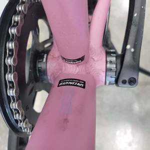 2020 Specialized Pink