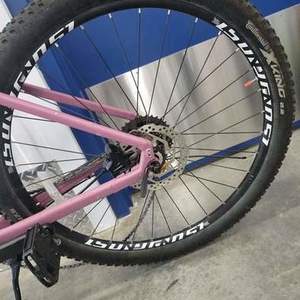 2020 Specialized Pink