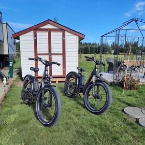 2021 Rad Power Bikes RADROVER STEP THRU Black