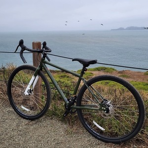 2021 Priority Bicycles Apollo Green