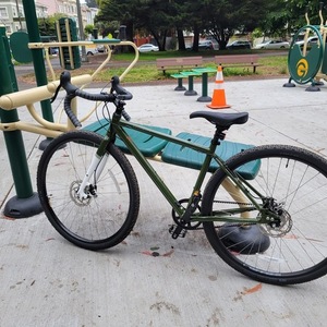 2021 Priority Bicycles Apollo Green