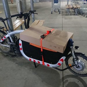 2019 Triobike Cargo Silver, gray or bare metal