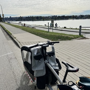 2019 Triobike Cargo Silver, gray or bare metal