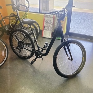 2020 Specialized Roll Low Entry Black