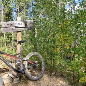 2014 Devinci Troy Black