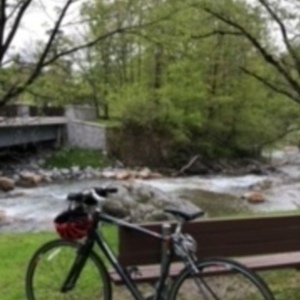 Specialized Sirrus Elite Silver, gray or bare metal