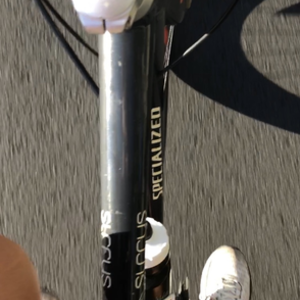 Specialized Sirrus Elite Silver, gray or bare metal