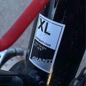 Giant Black