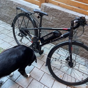 2021 Trek FX3 Black