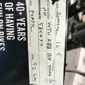 2021 Trek Domane Purple
